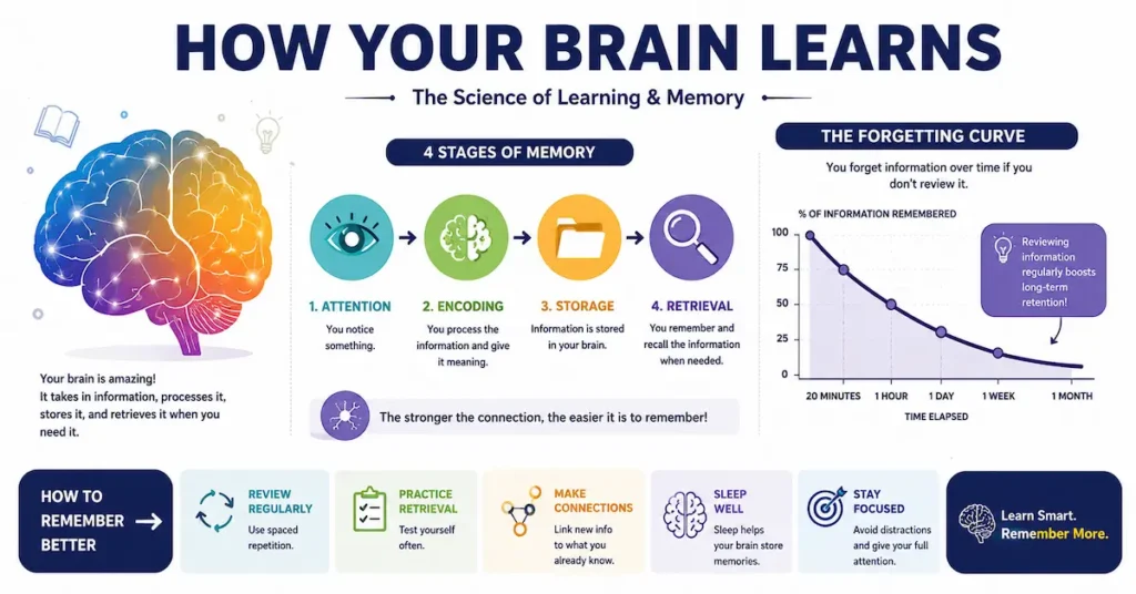 Best Study Techniques
